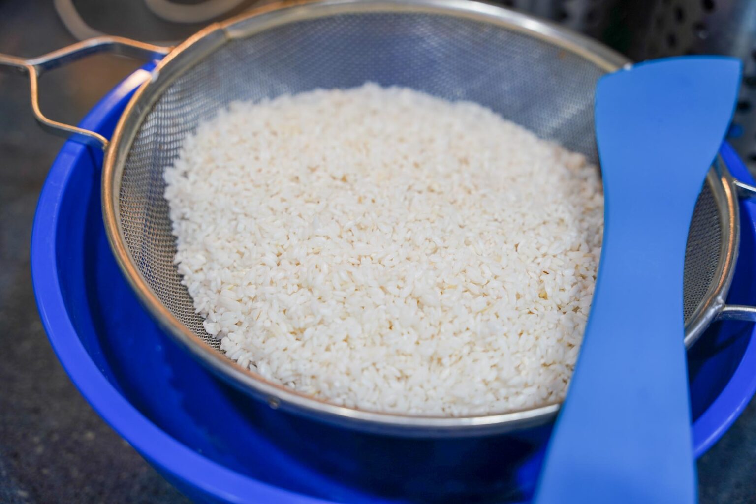 How to Make Koji - A Step-by-Step Guide for Home Incubation