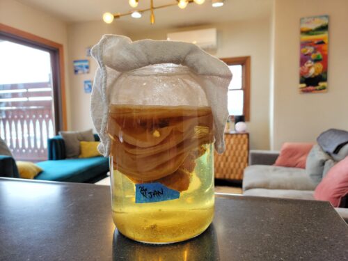 How to Brew Kombucha – Easy Steps to Follow at Home