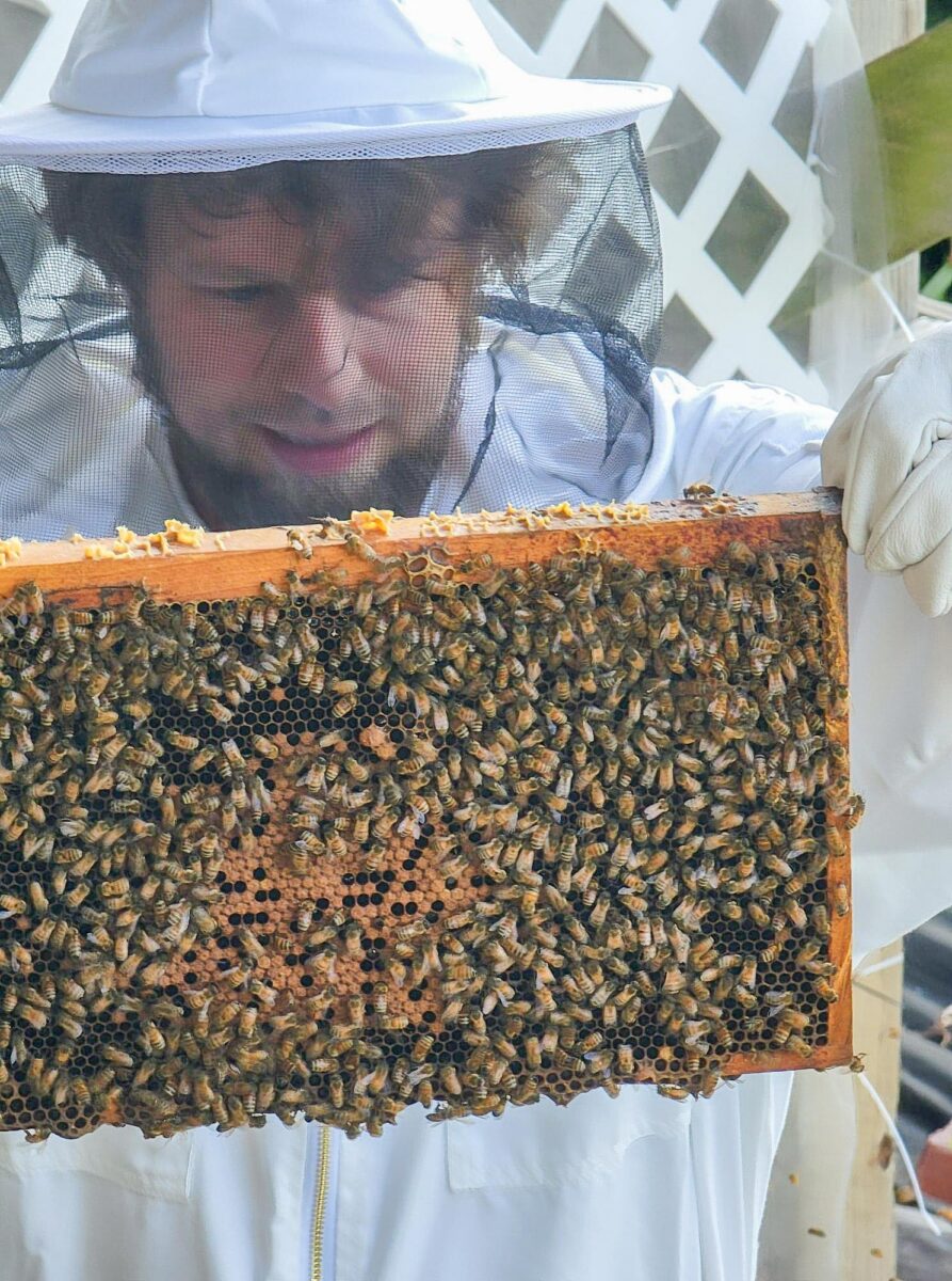 Don't Be Nervous Around Your Bees