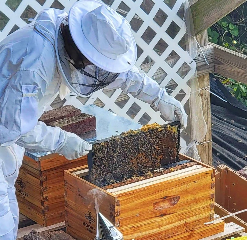 Inspecting Frames in Hoover Hives - The Best Bee Hive for Beginners