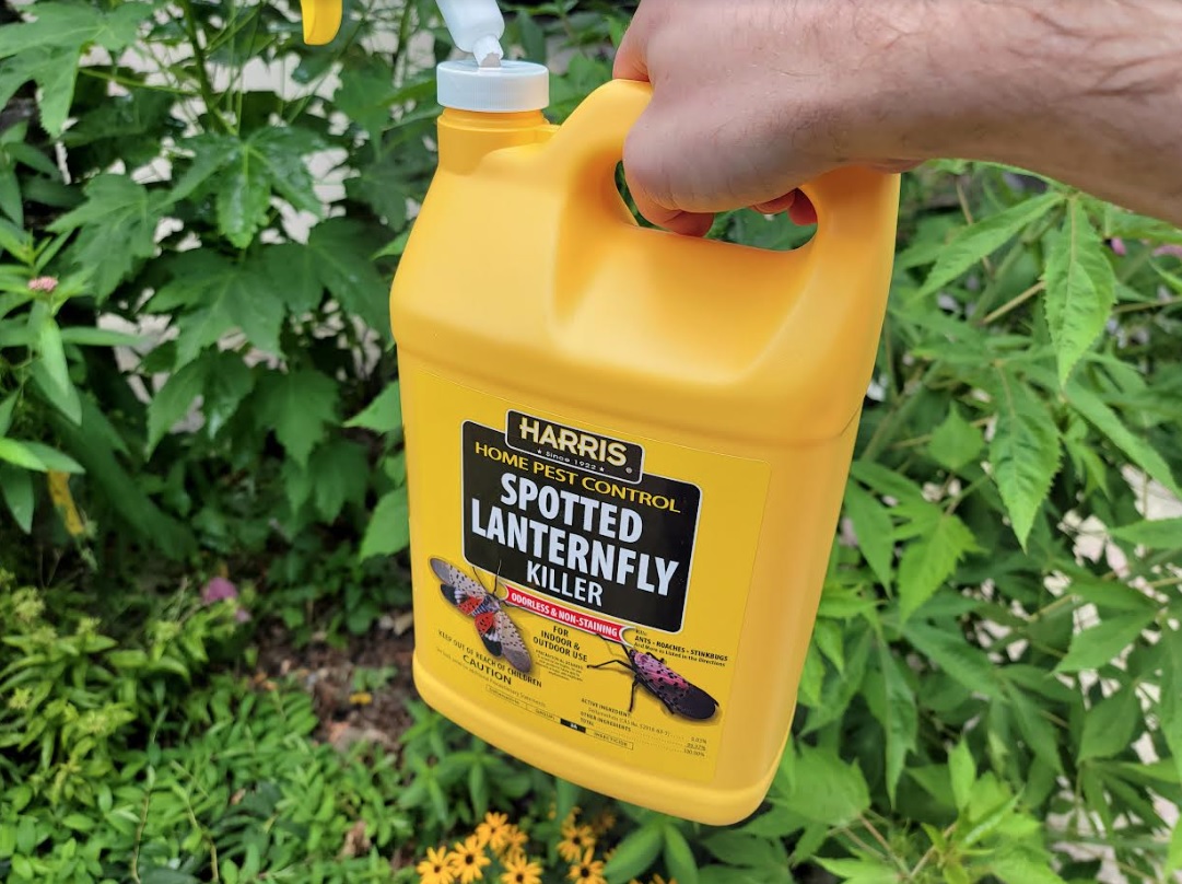 Lanternfly Insecticide