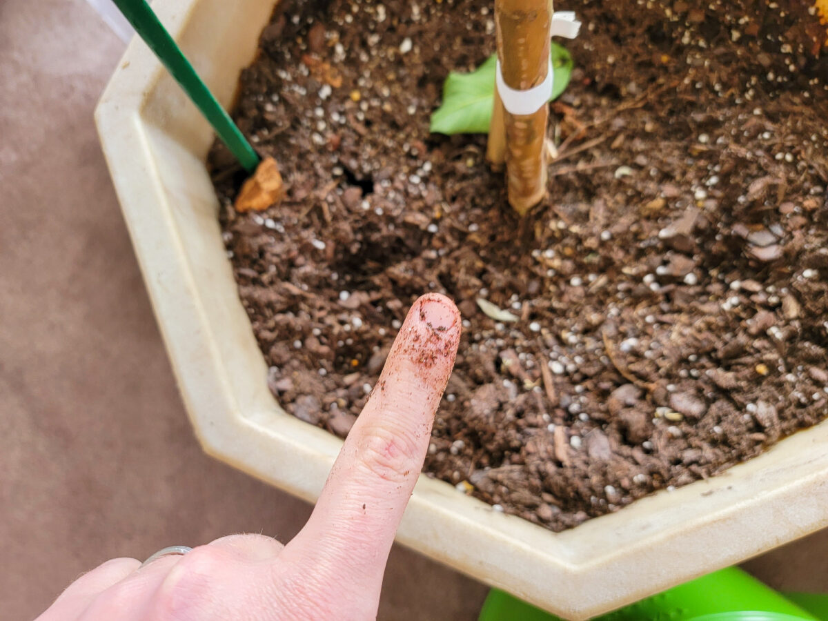 Dirt on finger is a sign of water