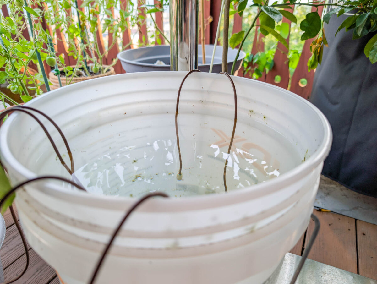 Water Bucket Water Bucket