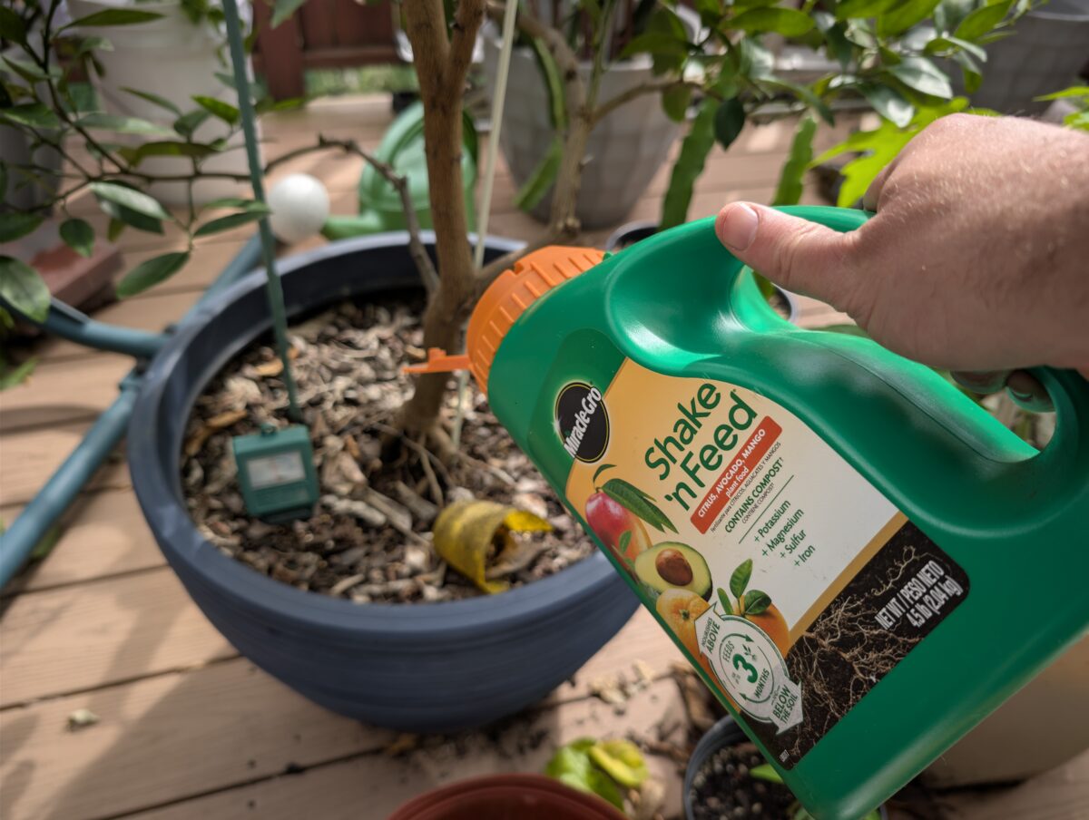 Citrus Fertilizer Citrus Fertilizer