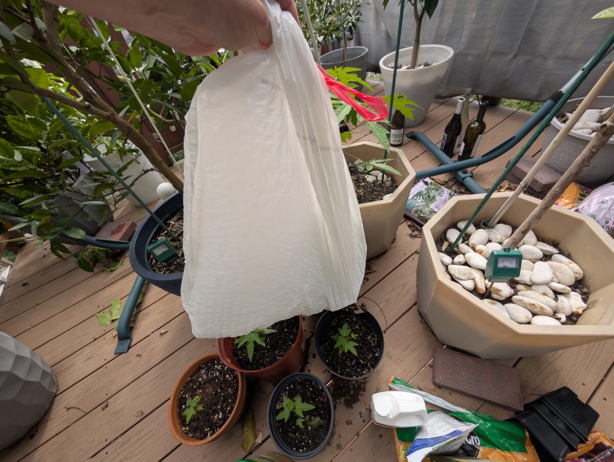 Bag with Diatomaceous Earth Inside It Bag with Diatomaceous Earth Inside It