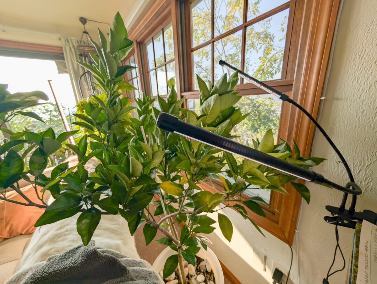 Flexible Grow Light Arms Flexible Grow Light Arms