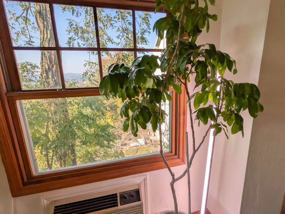 Vertical Grow Lights Vertical Grow Lights